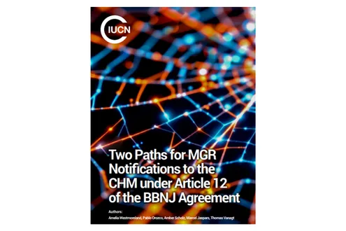 image-233e2de4668c8e7c8cc166dd3b8c02c03a8d4caf-1200x630-png