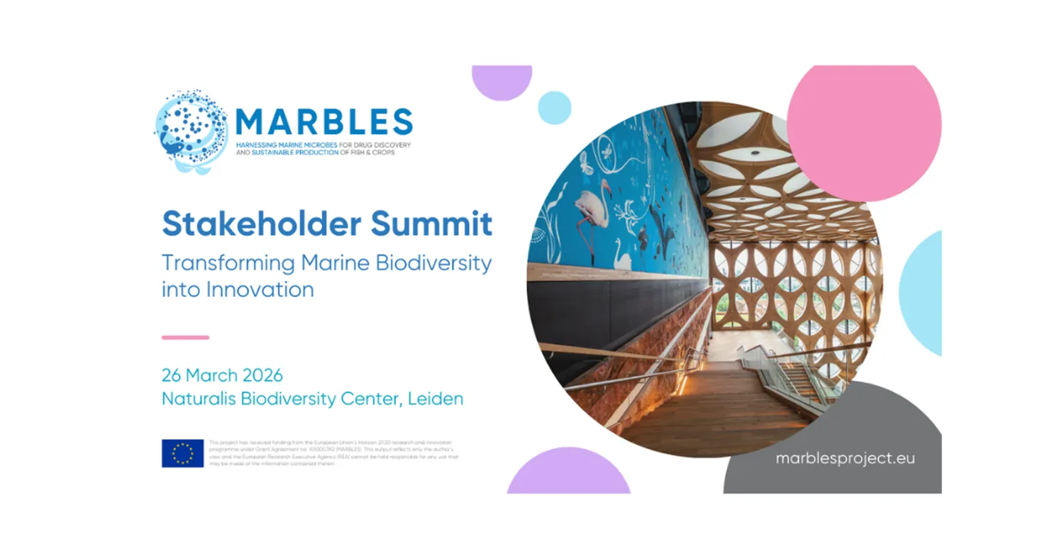 image-fc6c2153c33c0b5251c4a95128543bf1ca2fe245-1200x630-png