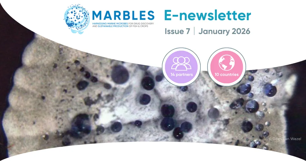 image-fd0d2a371cd04643c75d0c7d2946996c491586d4-1200x630-png