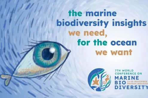 image-7285389f6436f7f87cb669bb084b8ef2396a942f-626x350-png