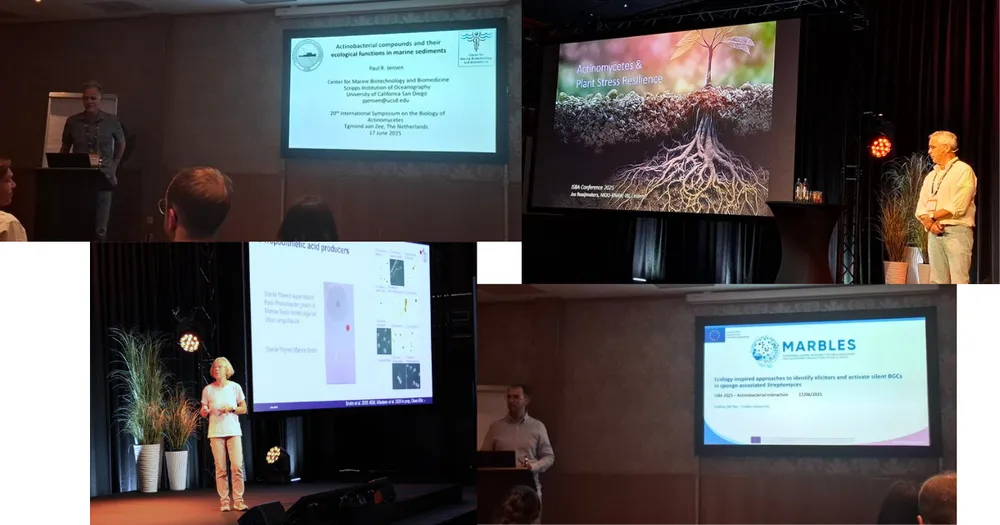 image-1b7d9fbcd5cbcf9fe888d5266b9c73faf45a1b6c-1200x630-png