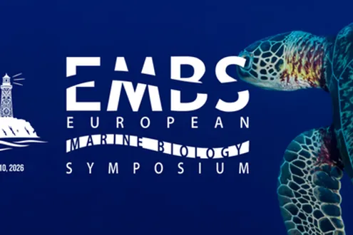 image-3922528840b06e546236bea8202250b2c66572da-960x269-png