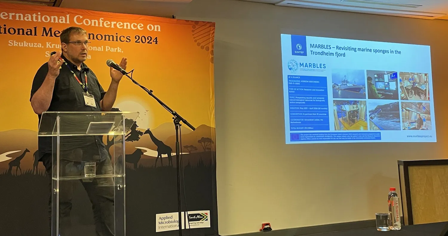 image-02c85c8989cd02f94b909dd9dec56ce7ee1a753a-4032x2129-jpg