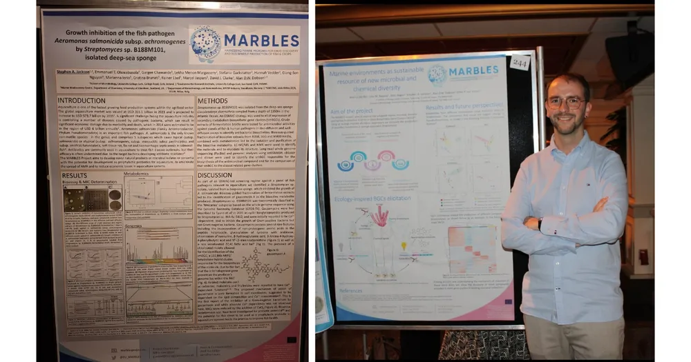 image-cb8bc412bdeaee00613f715a0bd9acde9ae4c822-1200x630-png