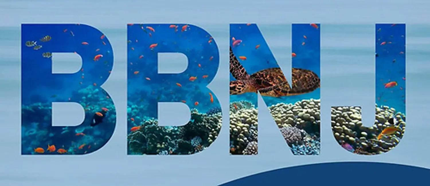 image-ce98ada130ac23cc6e263573bfad12872e9e5c39-500x217-jpg